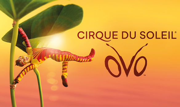 OVO_musicalch_585x348px_Pressedownload.jpg